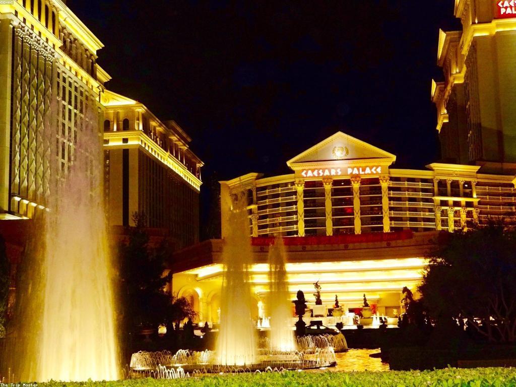 ហ្គេមសិក្សា CASINO: ការពិនិត្យ និងយោបល់