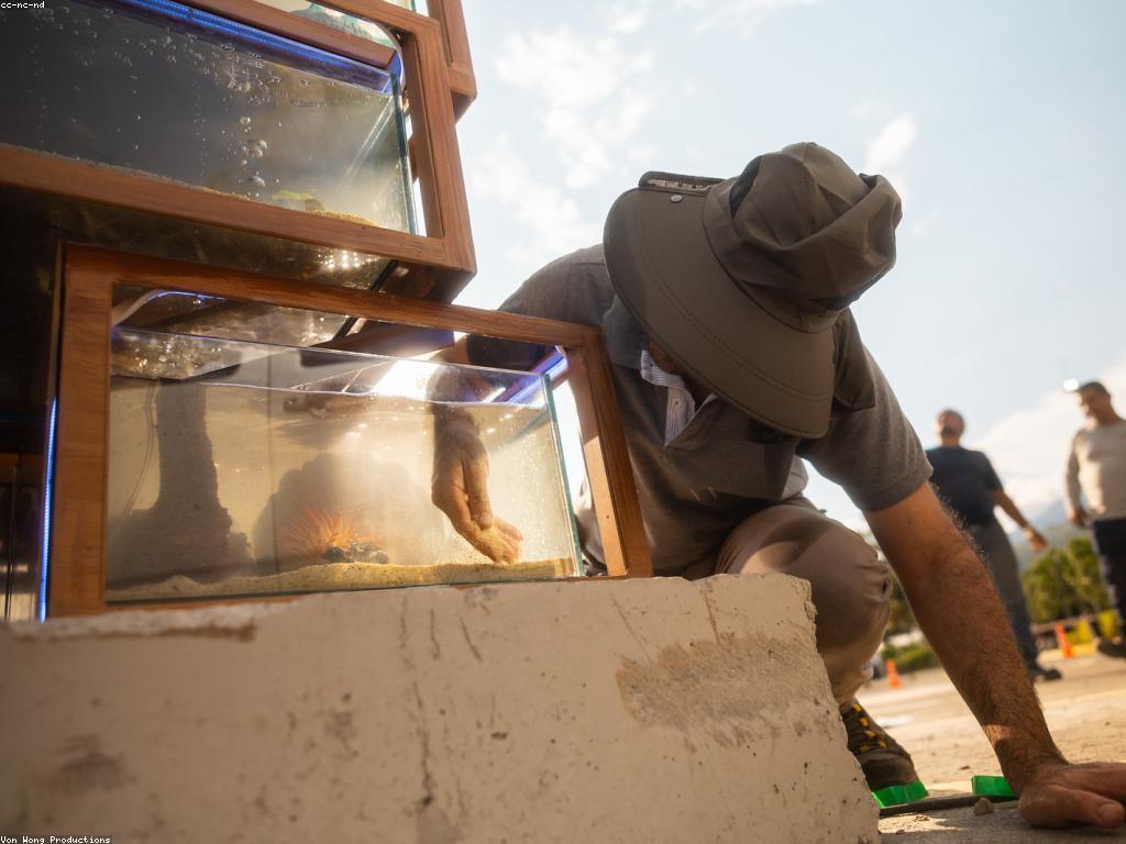 សារៈសំខាន់នៃការវាយតម្លៃហ្គេមដើម្បីសិល្បៈ​និងវិស័យ