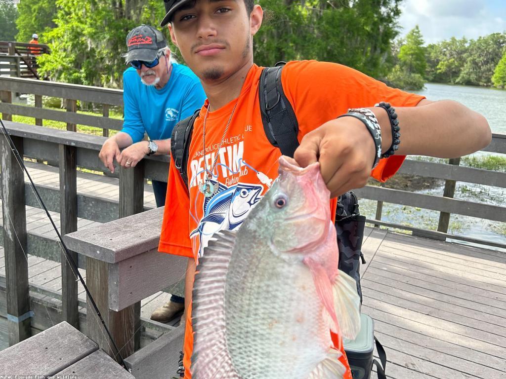 ហ្គេមសិក្សា: ការសិក្សាដោយរីករាយ